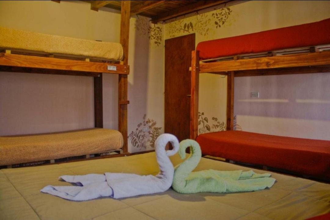 La Casa Del Arbol - Hostel Ель-Больсон Екстер'єр фото
